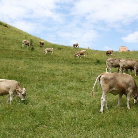 Ferienwohnung Gipfelblick Oberreute Kültér fotó